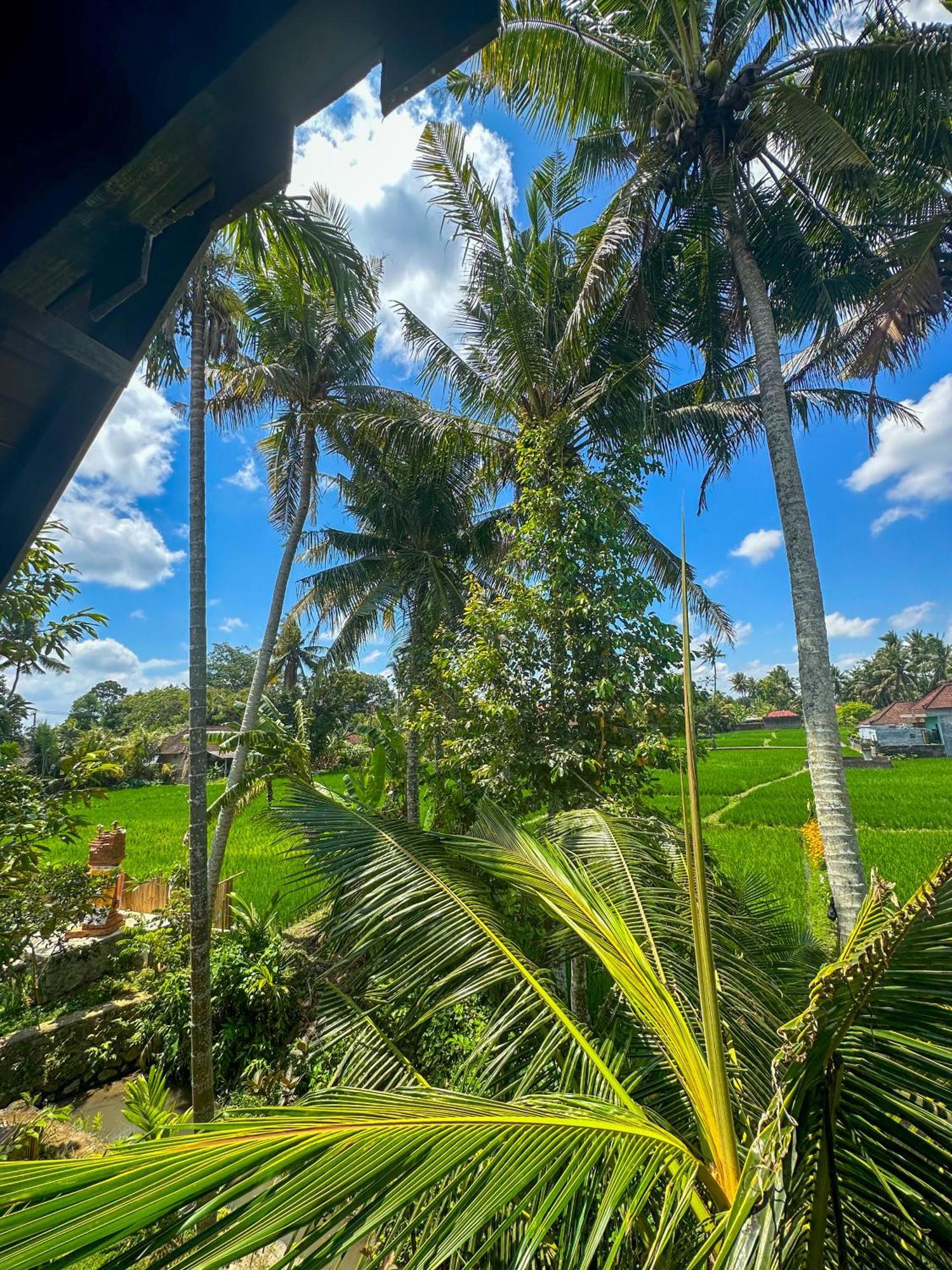 Hotel Nunu Bali Eco Friendly Retreat Canggu Exterior foto