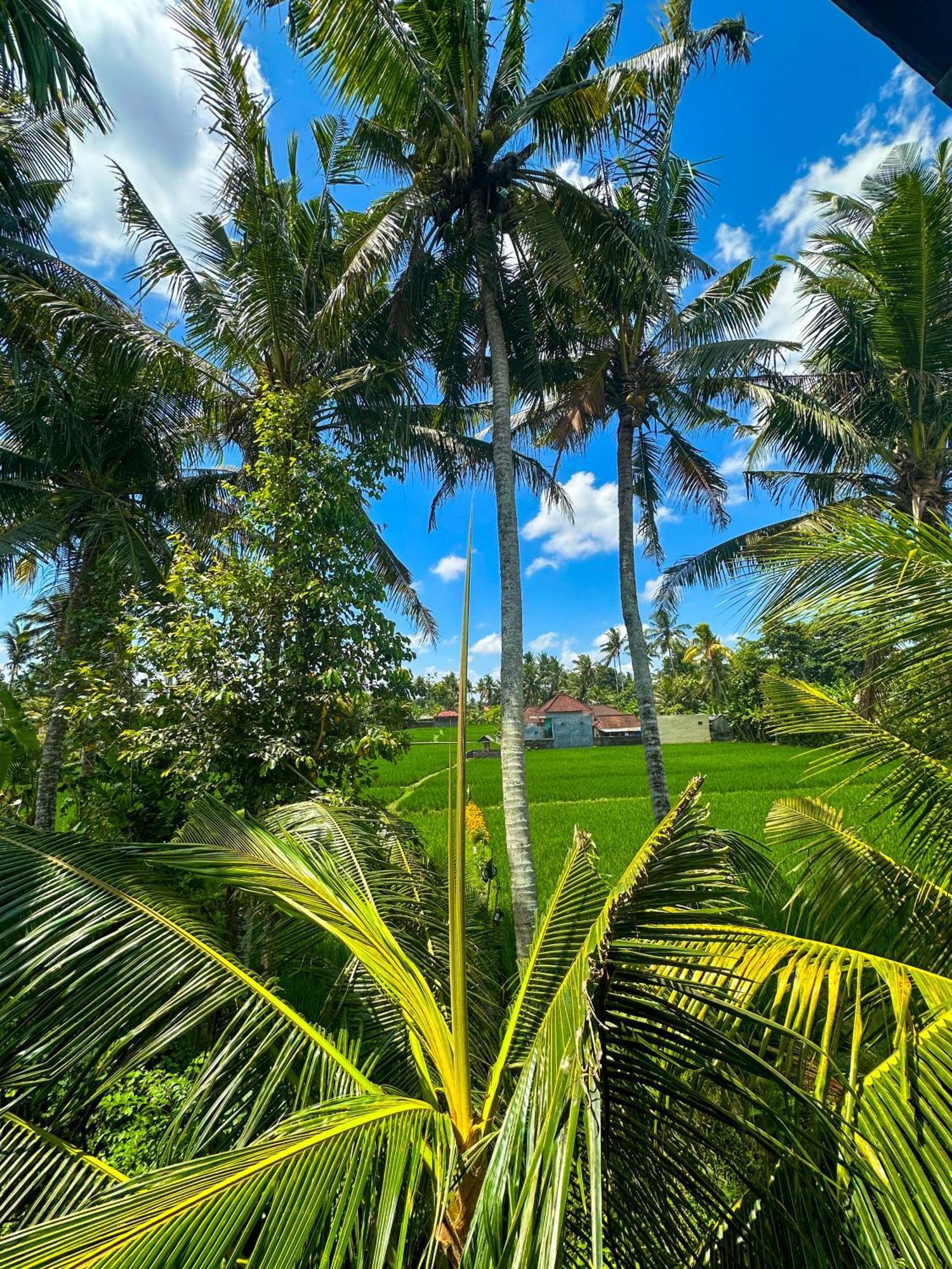 Hotel Nunu Bali Eco Friendly Retreat Canggu Exterior foto