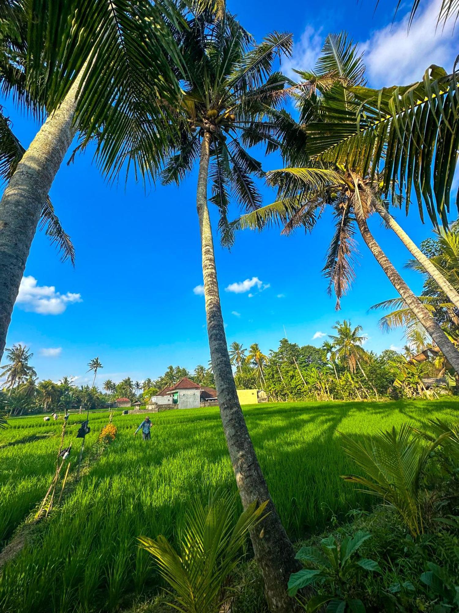 Hotel Nunu Bali Eco Friendly Retreat Canggu Exterior foto